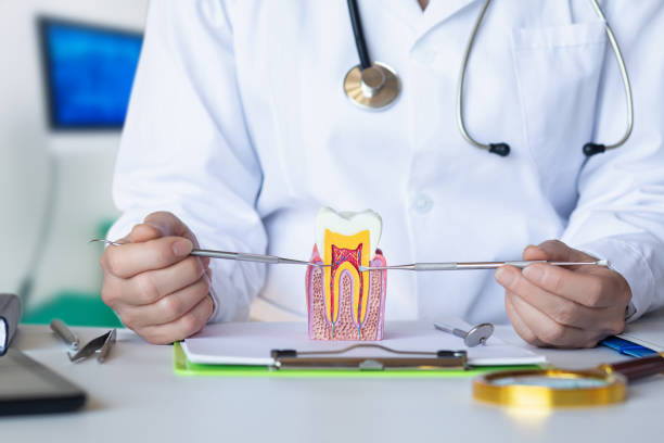Best Broken or Cracked Tooth Emergency Dentist in University Park, TX